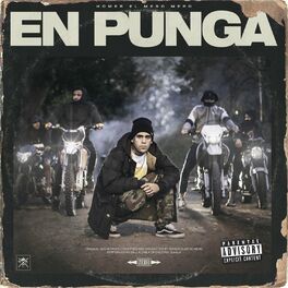 Album cover of En Punga