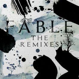 Album cover of Fable: The Remixes