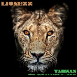 Album cover of Tarzan
