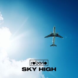 Album cover of Sky High