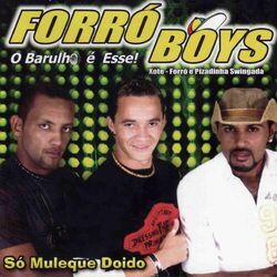 Download Forró Boys - Só Muleque Doido 2013