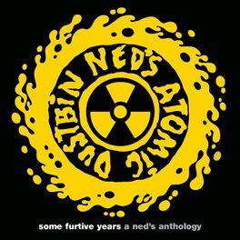 Album cover of some furtive years - a ned's anthology