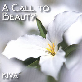 Album cover of A Call to Beauty
