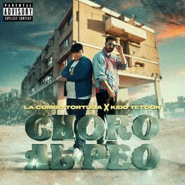 Album cover of Choro al Peo