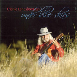 Album cover of Under Blue Skies