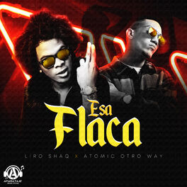 Album cover of Esa Flaca