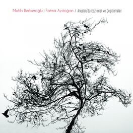Album cover of Anadolu'da Bozlaklar ve Çeşitlemeler