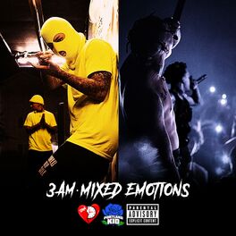 Album cover of Mixed Emotions