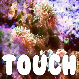 Album cover of Touch (Tribute to Little Mix)