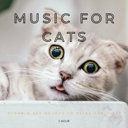Album cover of Music For Cats: Storm & Sea Sounds To Relax And Sleep - 1 Hour