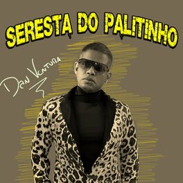 Album cover of Seresta do Palitinho