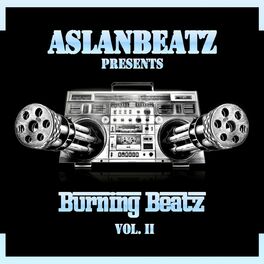 Album cover of Burning Beatz, Vol. 2