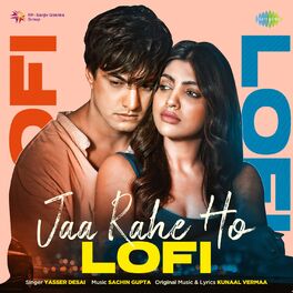 Album cover of Jaa Rahe Ho (Lofi) - Single