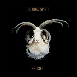Album cover of Bruiser