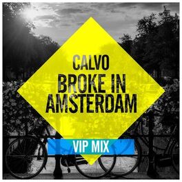 Album cover of Broke In Amsterdam (VIP Mix)