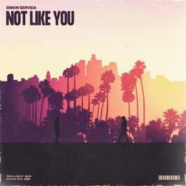 Album cover of Not Like You