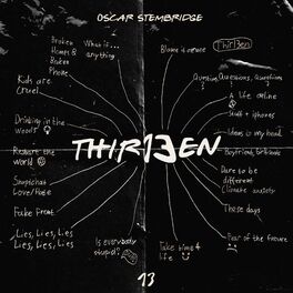 Album cover of Thir13en