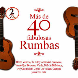Album cover of Más De 40 Fabulosas Rumbas Vol.2