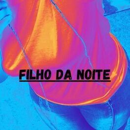 Album cover of Filho Da Noite (feat. MC Ryan Sp and Chefin)