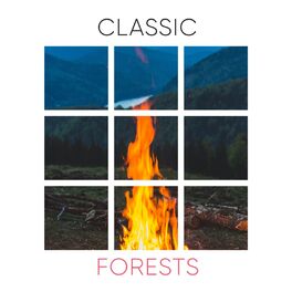 Album cover of Classic Forests, Vol. 2