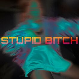 Album cover of Stupid Bitch