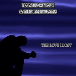 Album cover of The Love I Lost