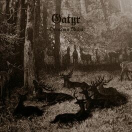 Album cover of Ormanın Ruhu