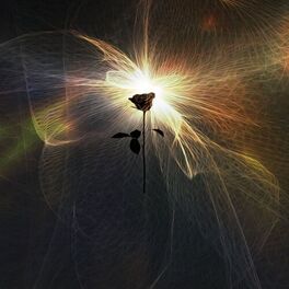 Album cover of Sanctum