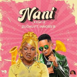 Album cover of Nani Remix (feat. Innoss' B)
