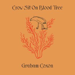 Album cover of Crow Sit On Blood Tree