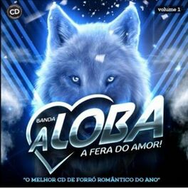 Album cover of O Melhor CD De Forró Romântico Do Ano