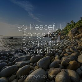 Album cover of 50 Peaceful Songs for Sleep and Relaxation