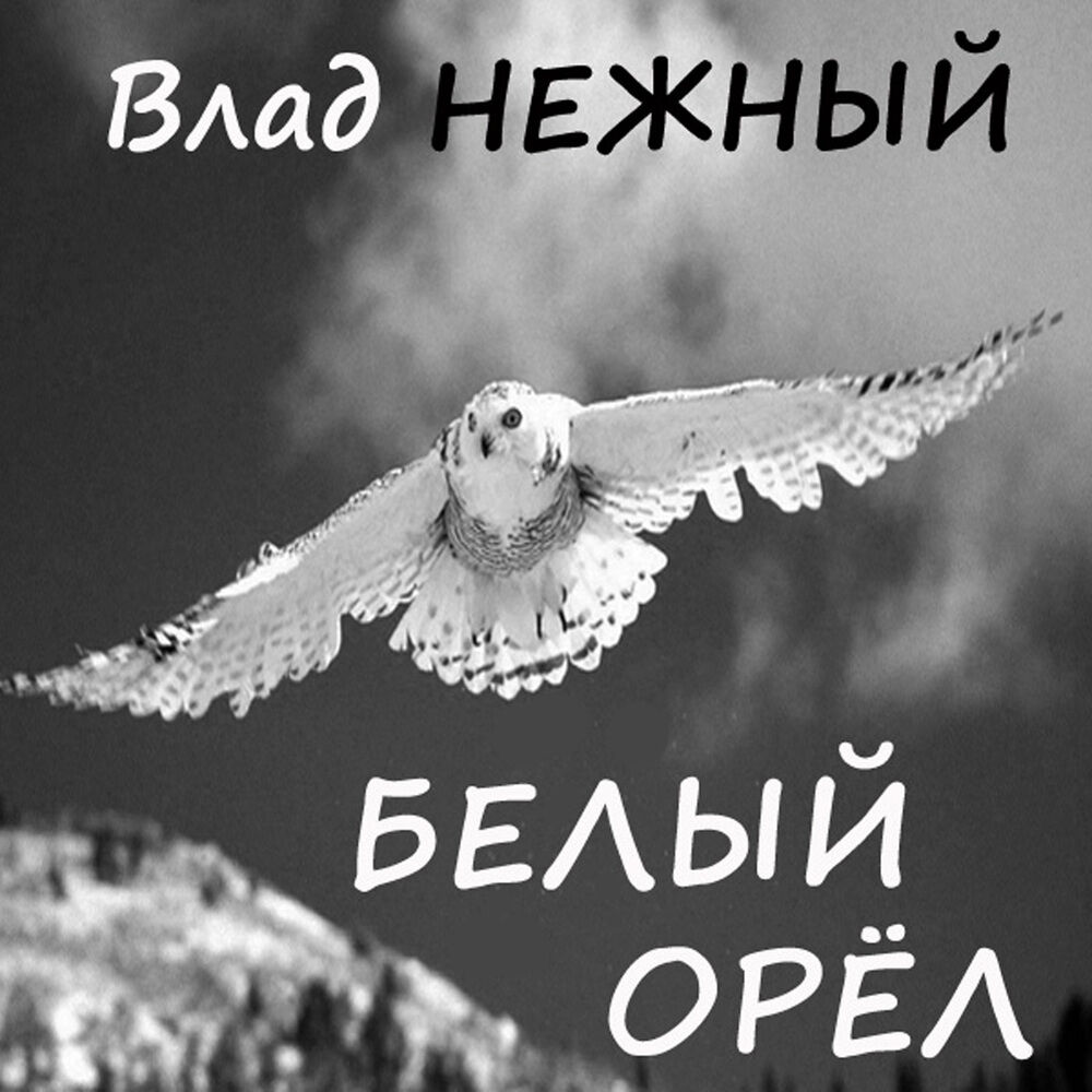 Кто сказал (нежный влад)  стихи.ру