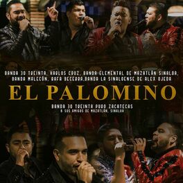 Album cover of El Palomino (Puro Zacatecas y Nuestros Amigos De Mazatlán Sinaloa)