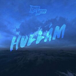 Album cover of Hullám