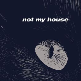 Album picture of Not My House