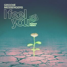 Album cover of I Feel You (Ronan Remix)
