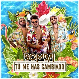 Album cover of Tú Me Has Cambiado