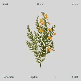 Album cover of Laid Down Lover (feat. Giid)