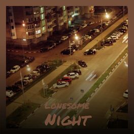 Album cover of Lonesome Night