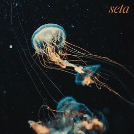 Album cover of Seta