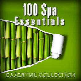 Album cover of 100 Spa Essentials