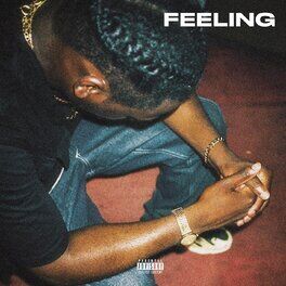 Album cover of Feeling