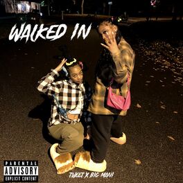 Album cover of Walked In
