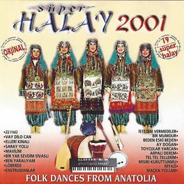 Album cover of Süper Halay 2001