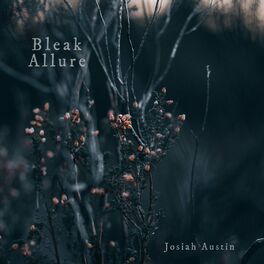 Album cover of Bleak Allure