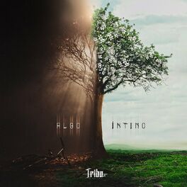 Album cover of Algo Íntimo