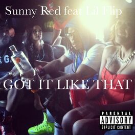 Album cover of GOT IT LIKE THAT