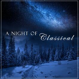 Album cover of A Night of Classical: Bach, Chopin, Beethoven etc.