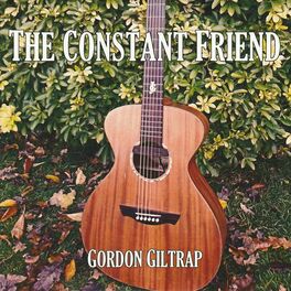 Album cover of The Constant Friend